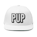 Hats One size / White INTO: PUP Embroidered Flat Bill Cap – Kink Hat for Human Pups, Handlers & Playful Queer Expression LEATHERDADDY BATOR