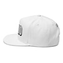 Hats INTO: HYPNO Embroidered Flat Bill Cap – Kink Hat for Erotic Hypnosis Lovers, Mind Control Enthusiasts & Trance Junkies LEATHERDADDY BATOR