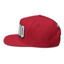 Hats INTO: HYPNO Embroidered Flat Bill Cap – Kink Hat for Erotic Hypnosis Lovers, Mind Control Enthusiasts & Trance Junkies LEATHERDADDY BATOR